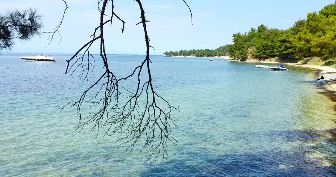 Villa Lily Skala Rachoni  Exteriér fotografie
